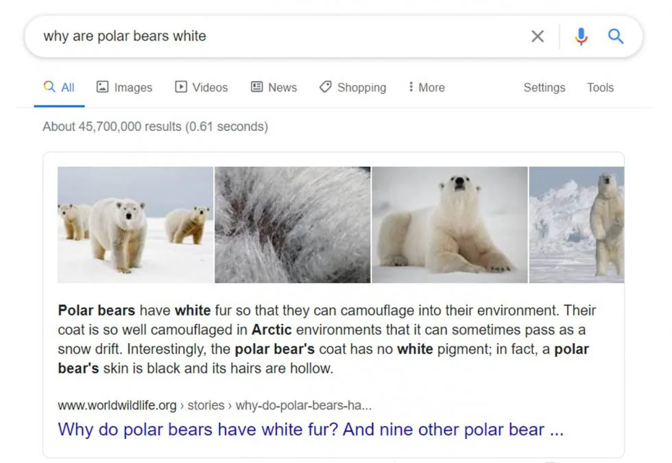 | Web Development Toronto | Digital Marketing & SEO Advertising