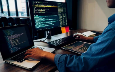 Maintaining Your Website In-house Or Web Developer Managed?