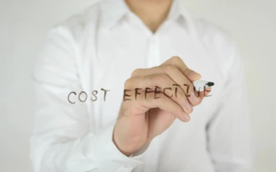 What Factors Impact the Cost of your Website: Web Design and Web Development in a Nut Shell