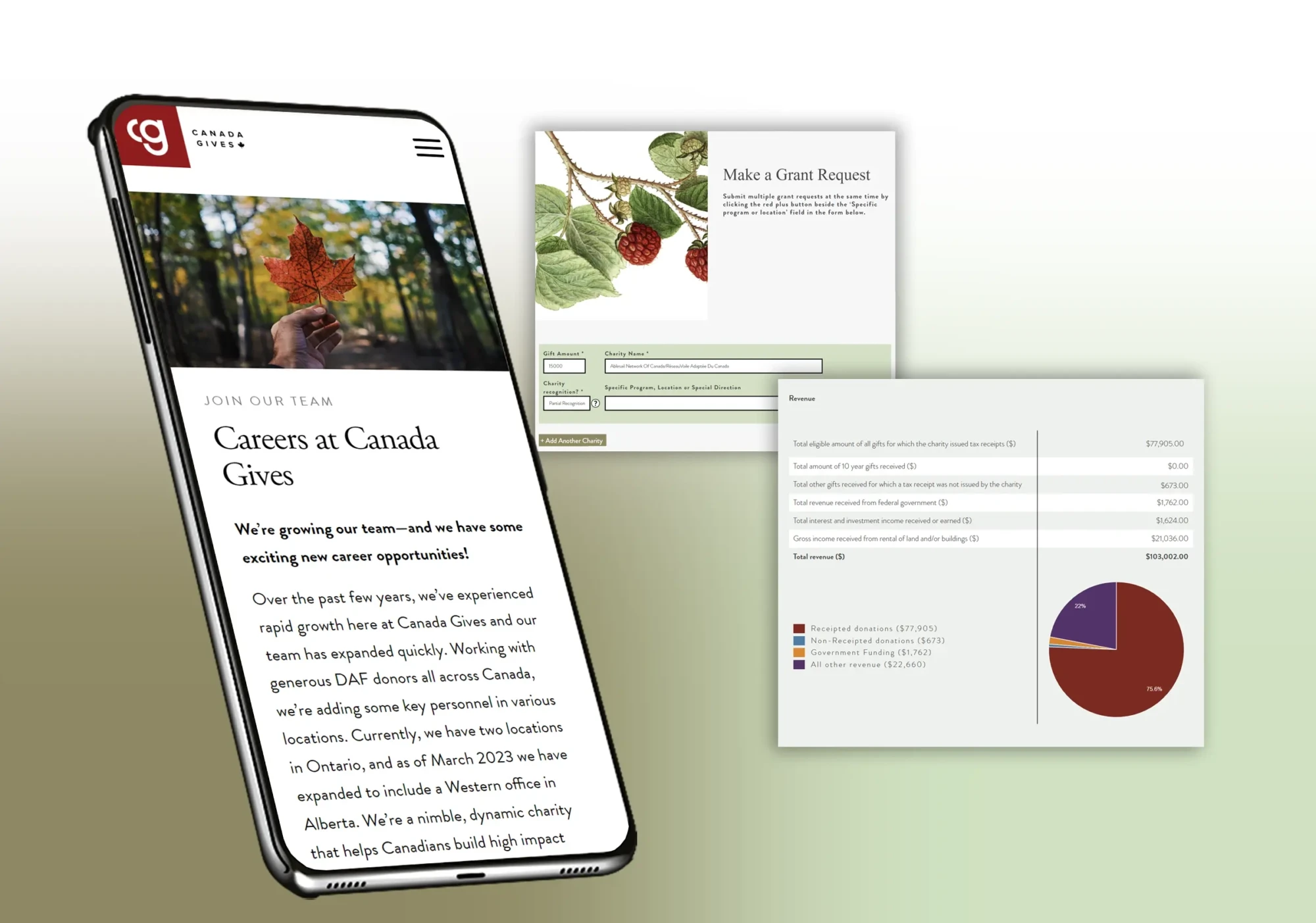 Canada Gives Charity Web Design