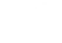 View Microbix E-commerce Case Study
